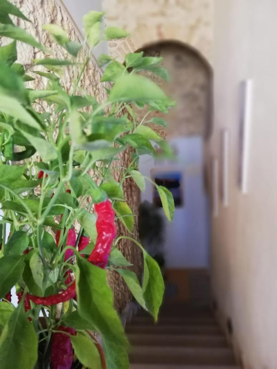A Casa Di Alessandro Tropea Extérieur photo